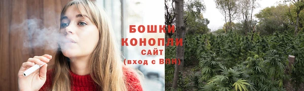 стаф Дмитров
