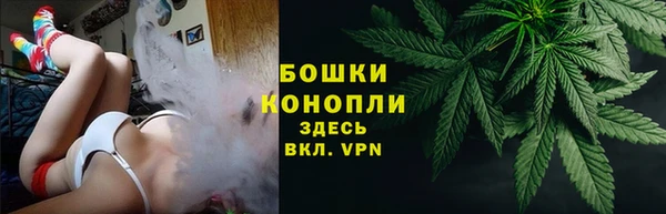 стаф Дмитров