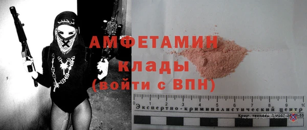 стаф Дмитров