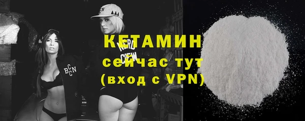 стаф Дмитров