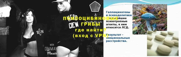 стаф Дмитров