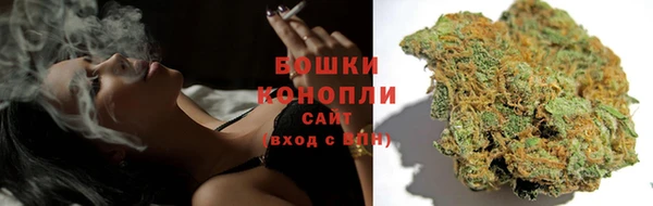 стаф Дмитров