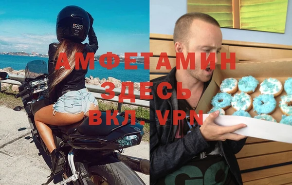 стаф Дмитров
