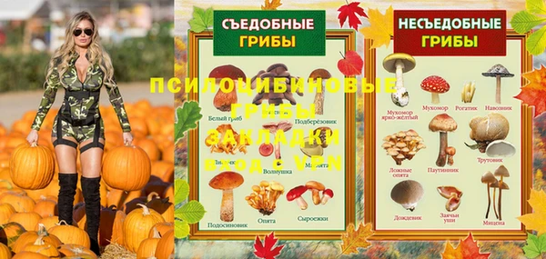 бутират Дмитриев