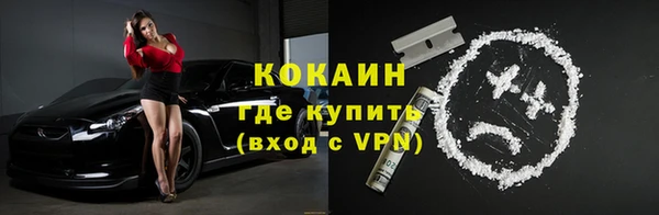 стаф Дмитров