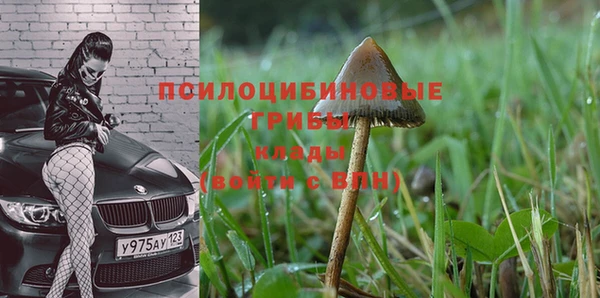кокаин премиум Дмитровск