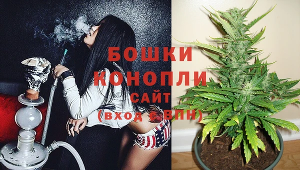 стаф Дмитров