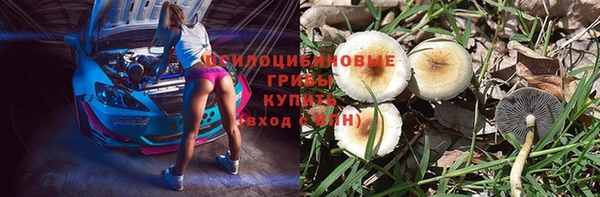 бутират Дмитриев