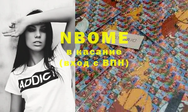 стаф Дмитров