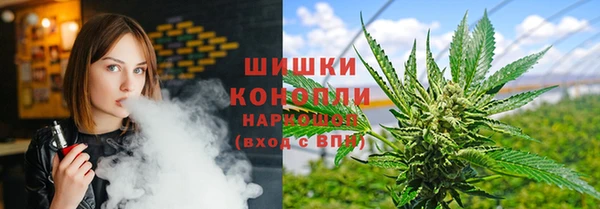 стаф Дмитров